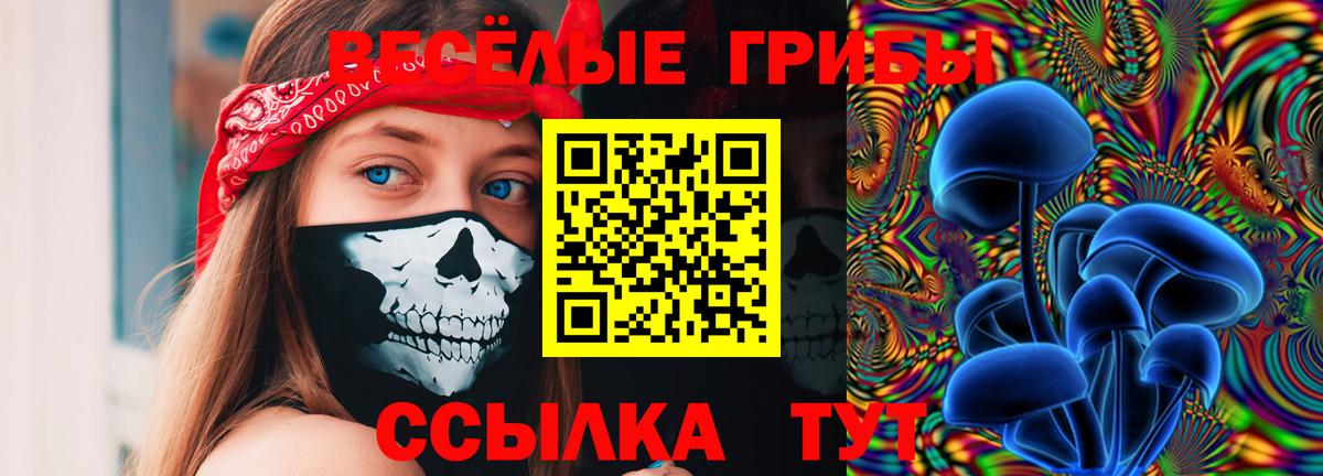 Галлюциногенные грибы GOLDEN TEACHER  Псилоцибиновые грибы GOLDEN TEACHER  Вход с VPN  Ачинск 