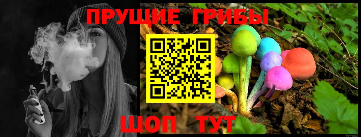 Псилоцибиновые грибы Psilocybine cubensis Ачинск